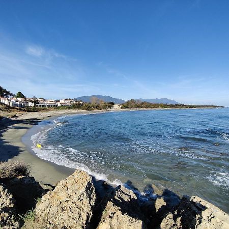Corse, Residence Marina Di Bravone, Acces Direct Plage Linguizzetta Екстериор снимка