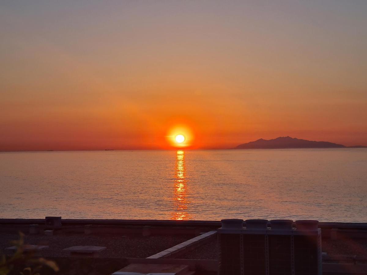 Corse, Residence Marina Di Bravone, Acces Direct Plage Linguizzetta Екстериор снимка